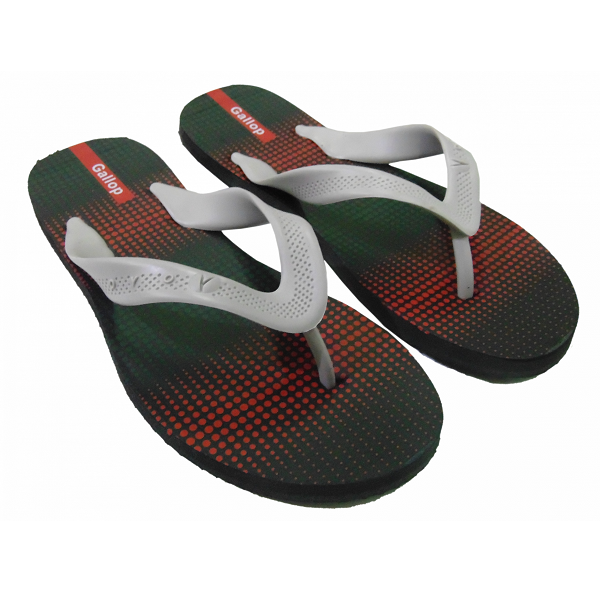 Flip-Flop-6
